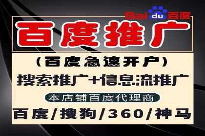 竞价推广实战攻略：成功案例分享